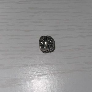 Pandora charm
